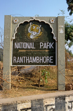 Tigre, Panthera tigris, Parc national de Ranthambore, Rajastan, Inde