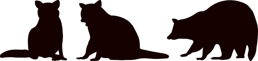 silhouette of a raccoon on a white background, vector