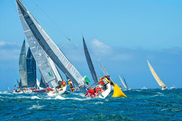 Sailing yachts regatta. Yachting. Sailing race Australia