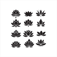 set of floral design elements