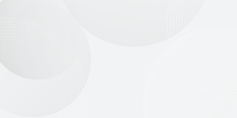 White geometric abstract background overlap layer on bright space with lines effect decoration. Modern graphic design element circles style concept for banner, modern vector arts