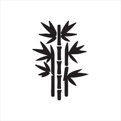 bamboo isolated on white background