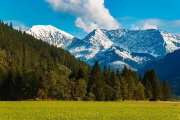 Fototapeta premium Alpine summer view near Lake Heiterwanger See, Heiterwang, Reutte, Tyrol, Austria