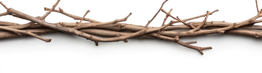 Natural Twigs and Branches Arranged in a Rustic Decorative Style