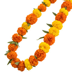 Traditional Indian marigold flower garland with vibrant orange and yellow blooms, isolated on white.
