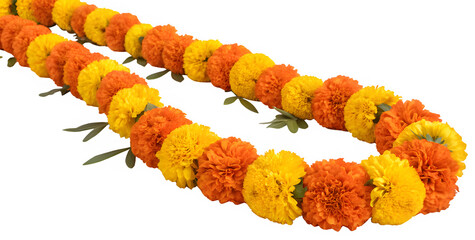 Traditional Indian marigold flower garland with vibrant orange and yellow blooms, isolated on white.
