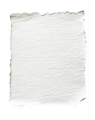 Textured Paper Sheet with Frayed Edges on transparent background 