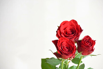 赤い薔薇