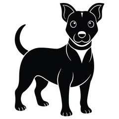 black and white dog