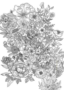 FLOWER BLOOM