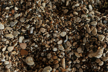 Photos of a vacation at sea. Beach photos from the resort.
