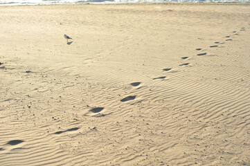 Photos of a vacation at sea. Beach photos from the resort.
