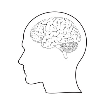 recommend clip art: Brain or mind side view inside head line art vector