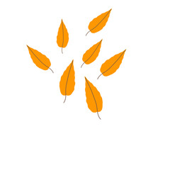 Obraz premium Group of Autumn Leaves hand-drawn illustration art
