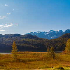 Alpine summer view near Weissensee, Fuessen, Ostallgaeu, Bavaria, Germany