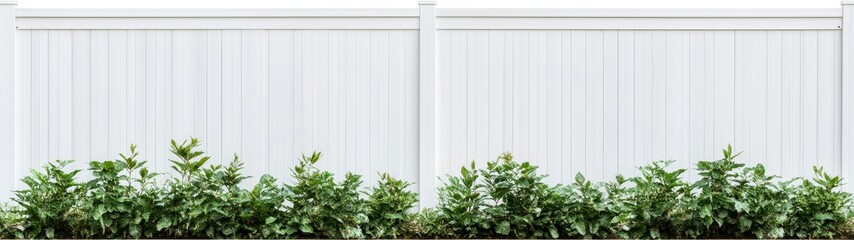 Lush Green Plants Against a Clean White Wooden Fence Background