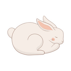 Sleeping white rabbit with pink ears and cheeks. Curled up in a relaxed pose with closed eyes. Cute fluffy pet resting peacefully.