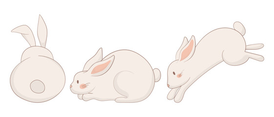 Back-view, sitting, and sleeping bunny icon. One rabbit is viewed from behind, another sits upright looking up, and the third is curled up asleep. A soft and calming animal illustration
