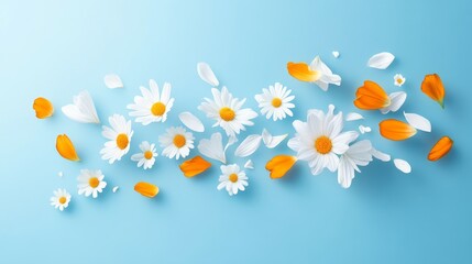 White and Orange Flowers on Soft Blue Background for Nature Decor