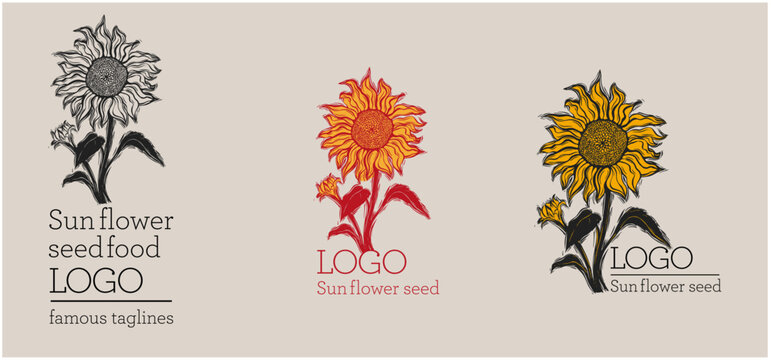 unflower logo, linocut style, illustration, logo,Vintage black vector block print sunflower stock illustration ,Sun flower seed logo