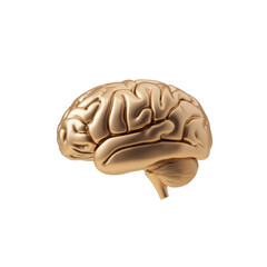 Golden brain sculpture reflecting creative and intellectual power with intricate details