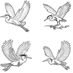 High-Quality Cute Cartoonic Heron Flying Pose Outline Vector Illustrations