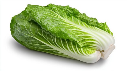 Close-up of a beautiful late leaf with intricate veins and rich coloration against a soft blurred background