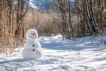 scenic panoramic view of a delighted snowman in winter backdrop  
