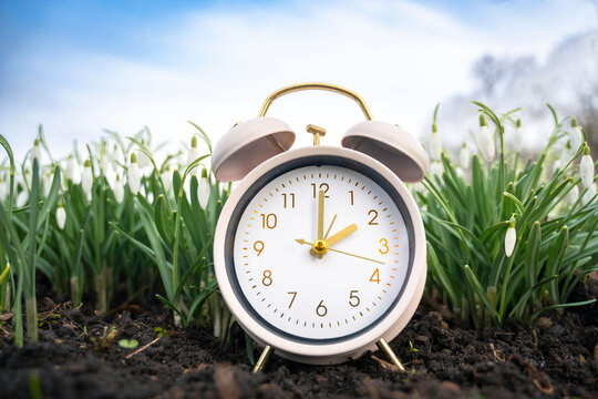 Alarm clock with snowdrop flowers, switch to daylight saving time in spring, summertime changeover