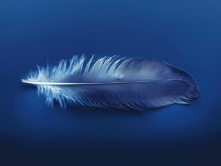 Fototapeta premium single blue feather, set against a deep blue background. The composition emphasizes simplicity, texture, and the beauty of natural elements, creating a serene and refined visual effect.