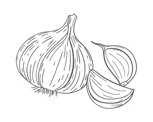 Hand-drawn fried chicken sketch illustration. Vintage-style etching, perfect for packaging, prints, menus, and digital designs.