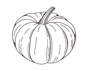 Hand-drawn pumpkin line art. Perfect for Halloween designs, packaging, prints, and digital projects.