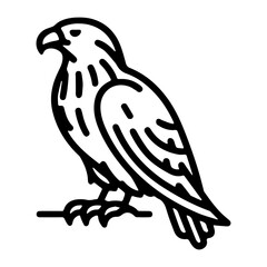 the portrait of an eagle