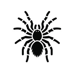 Tarantula logo icon of silhouette black shape isolated on white background