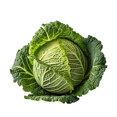 Fototapeta premium Fresh Green Cabbage with Blurred Center