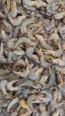 Fresh raw shrimp ready for cooking a delicious seafood meal with friends and family