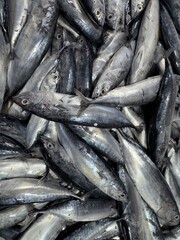 Freshly caught fish ready for market, showcasing vibrant scales and textures, perfect for culinary concepts