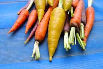 Fresh carrot vegetables, Ripe carrots