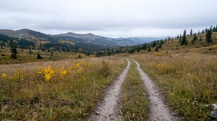 Mountain road through autumn meadow, leading to distant hazy mountains. Possible use Stock photo for travel brochure or nature website