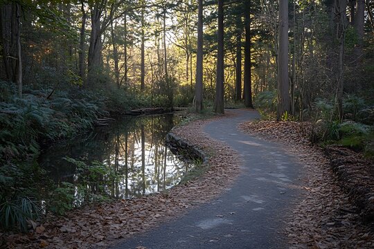 Autumn forest path by a pond. Landscape photo