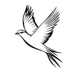 Obraz premium A bird is flying in the sky