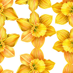 Obraz premium yellow flowers of blossomed daffodils in botanical style. hand-painted with brush and watercolor. Seamless pattern. For packaging design, wallpaper or paper