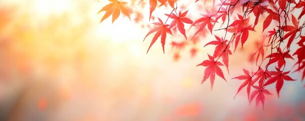 Autumn mist with dappled golden light filtering through crimson maple trees.