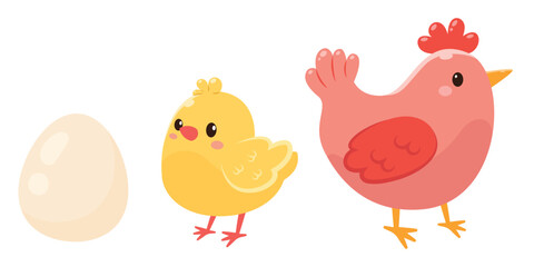 Egg, chicken and adult chicken. Vector illustration in flat style