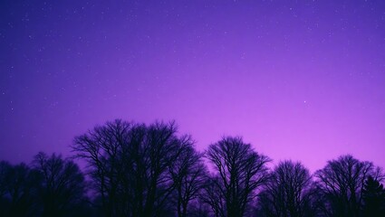 Naklejka premium Lavender Sky with Stars Over a Tranquil Forest