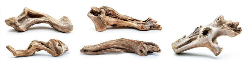 Set of driftwoods, isolated on a white background
