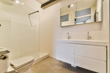 A sleek and contemporary bathroom featuring minimalist design with a glass shower enclosure and elegant fixtures.