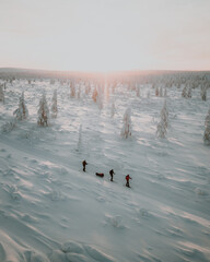Lapland in the snow, landscapes of pristine snow topped trees and magical golden light in the artic circle. High res photography 