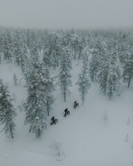 Lapland in the snow, landscapes of pristine snow topped trees and magical golden light in the artic circle. High res photography 
