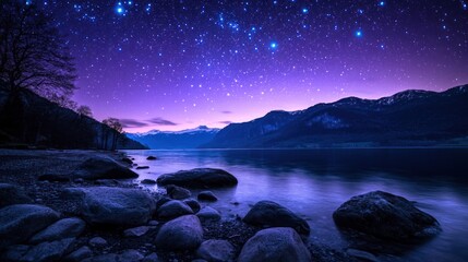 Fototapeta premium Starry Night Lake Shore Landscape